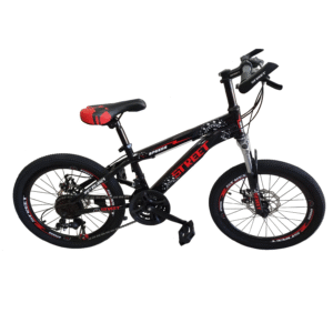 BICICLETA RODADO 20" STREET